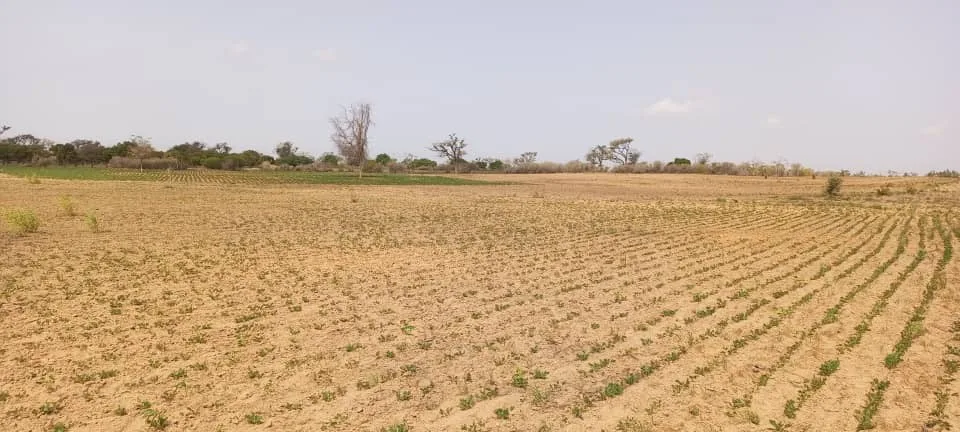 10 terrains 300m² à Thiès Takhoum