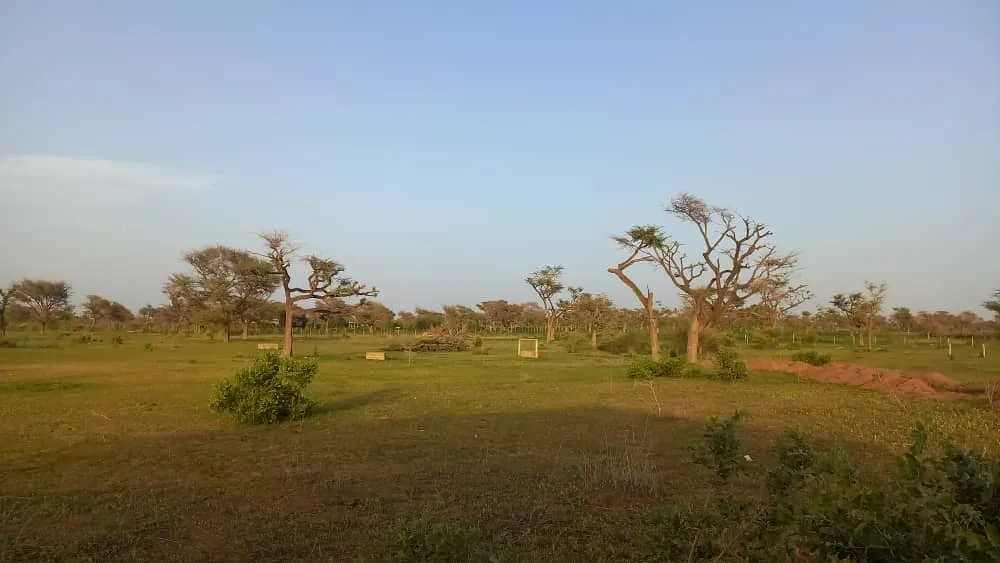 10 terrains 300m² à Keur Malick Ba, Thiès